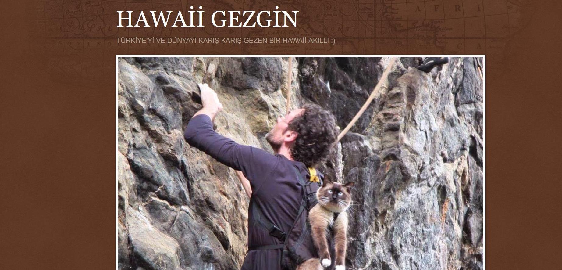 Hawaii Gezgin