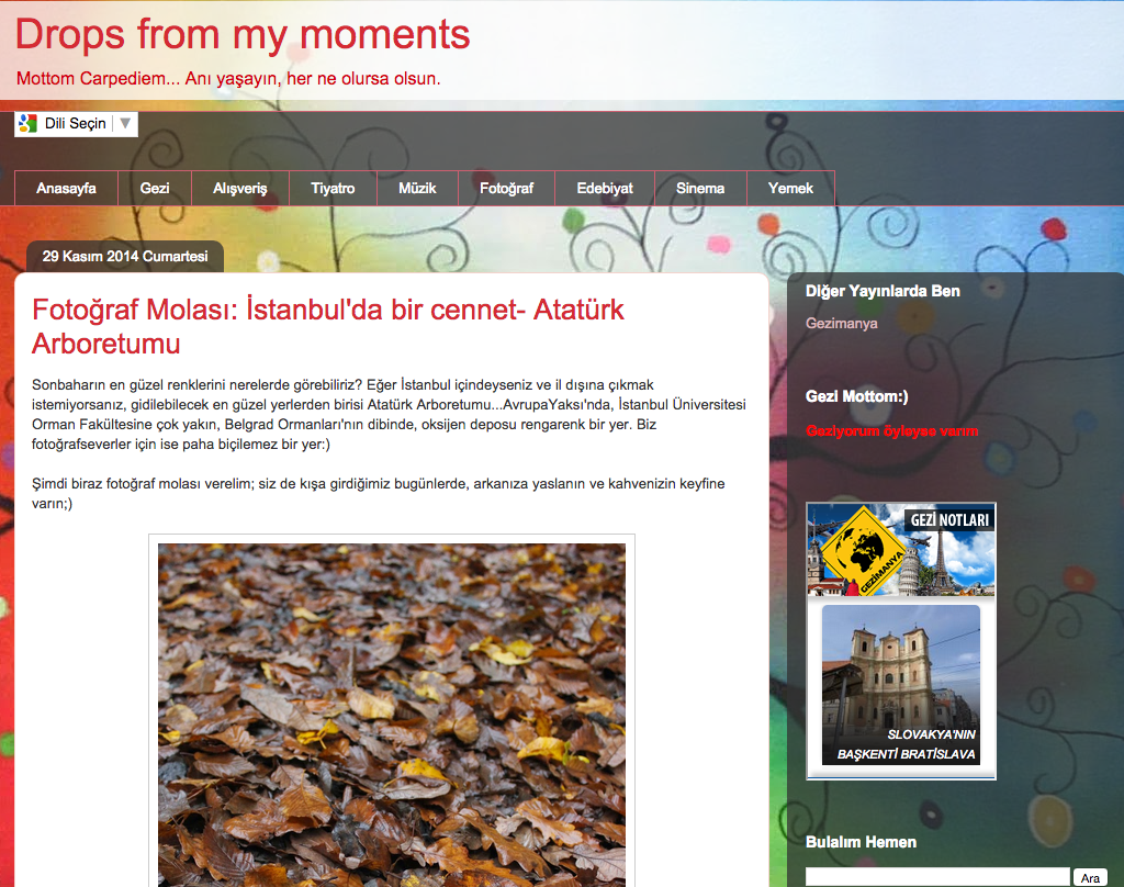 Drops From My Moments