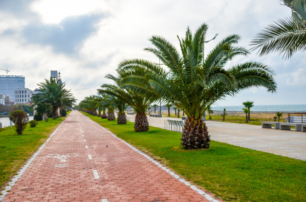 Batum hosteller