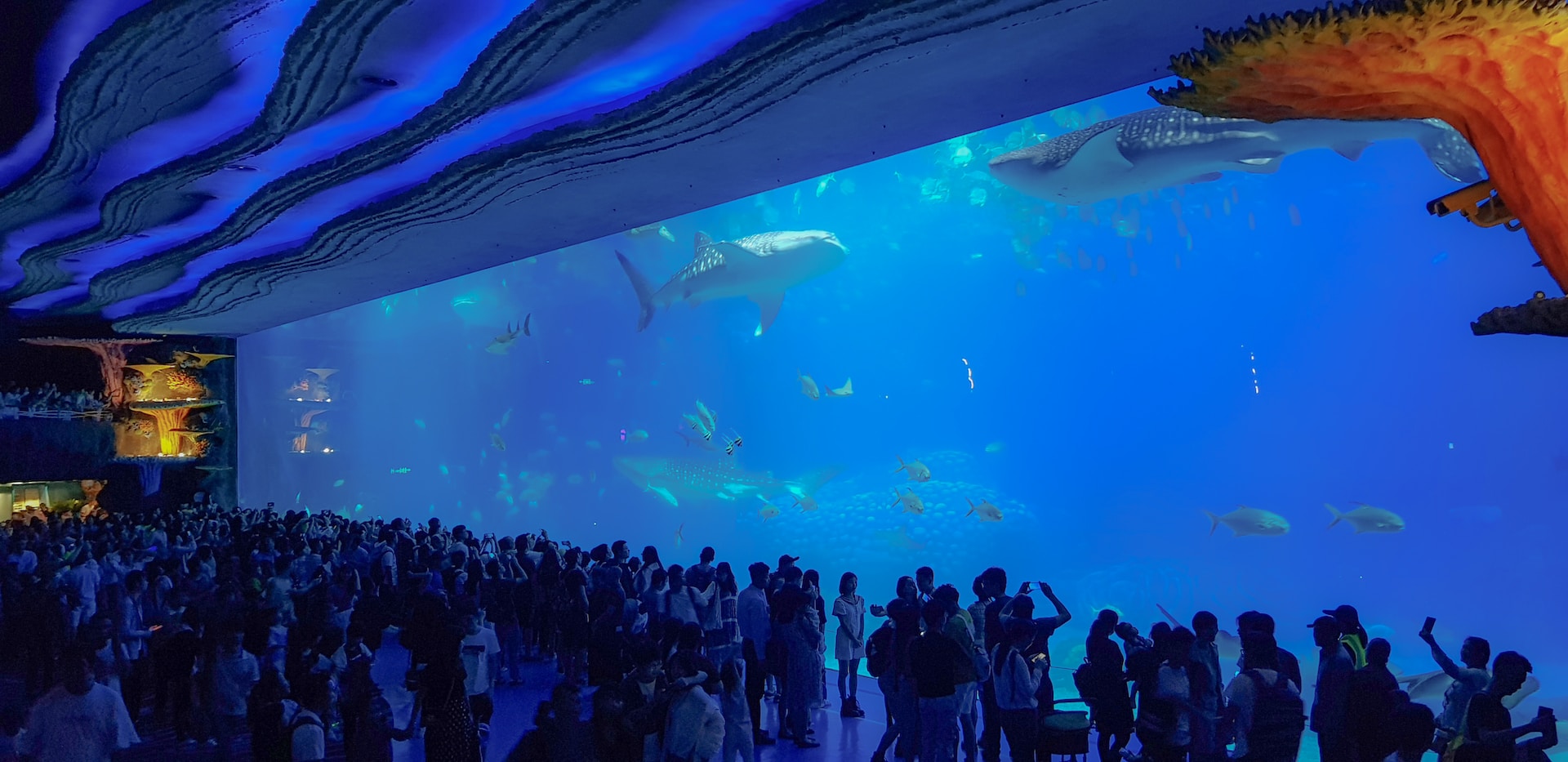 Chimelong Ocean Kingdom