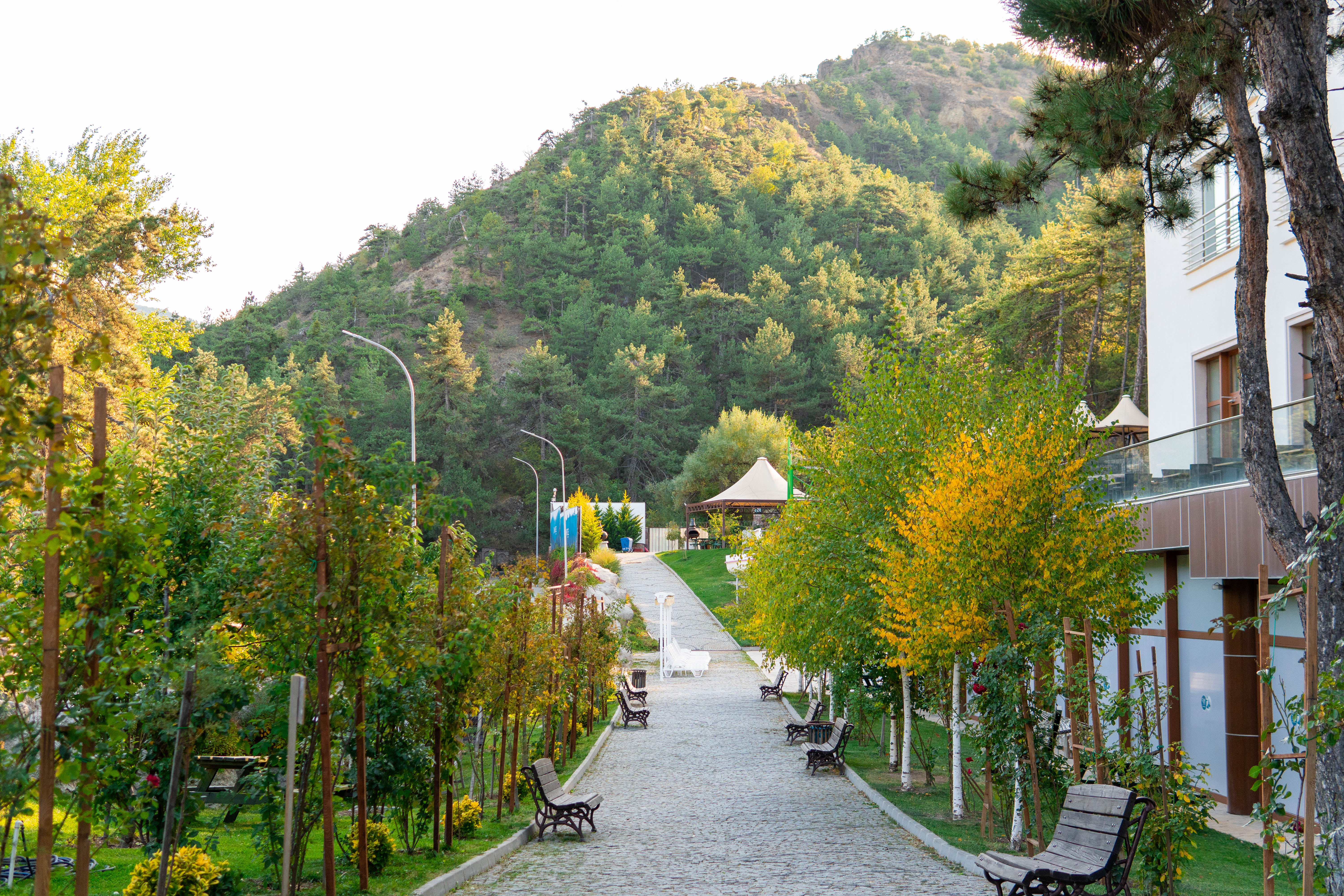 DOĞA 34