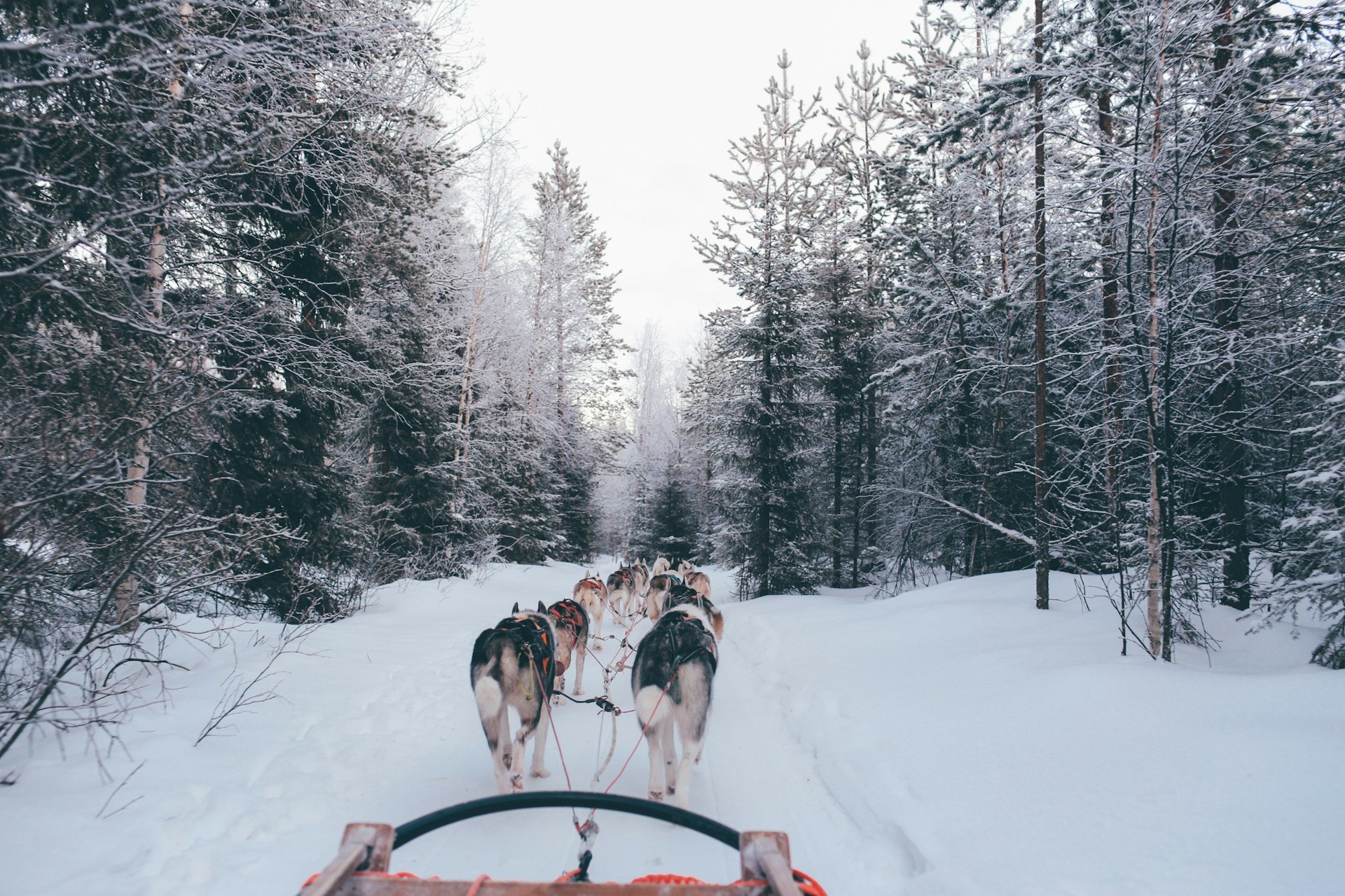 Kiruna