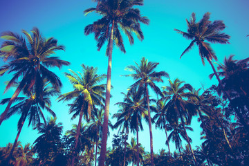 https://gezimanya.com/hawaii