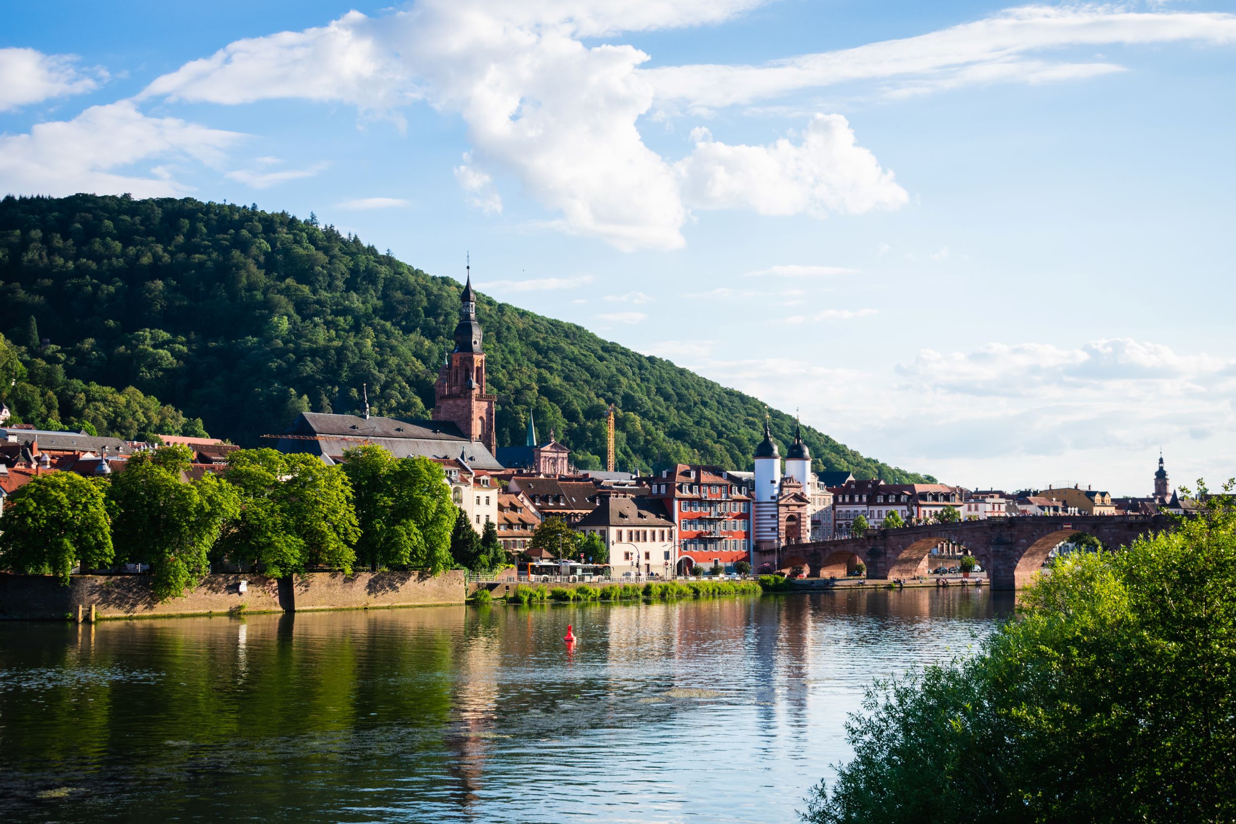 Heidelberg-2