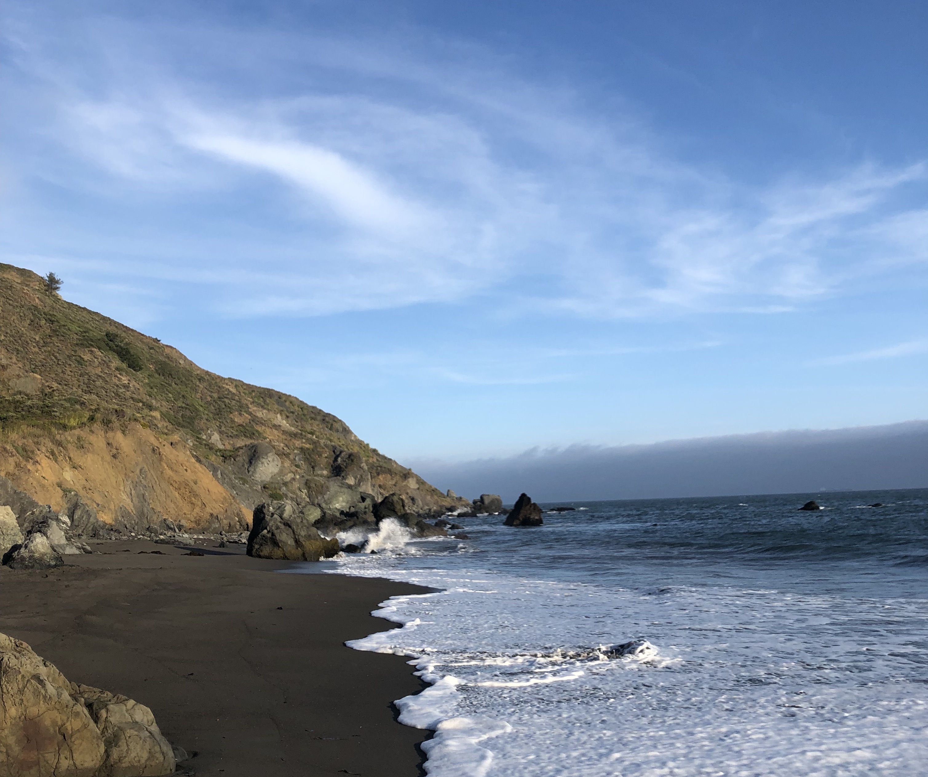 Muir Woods Beach