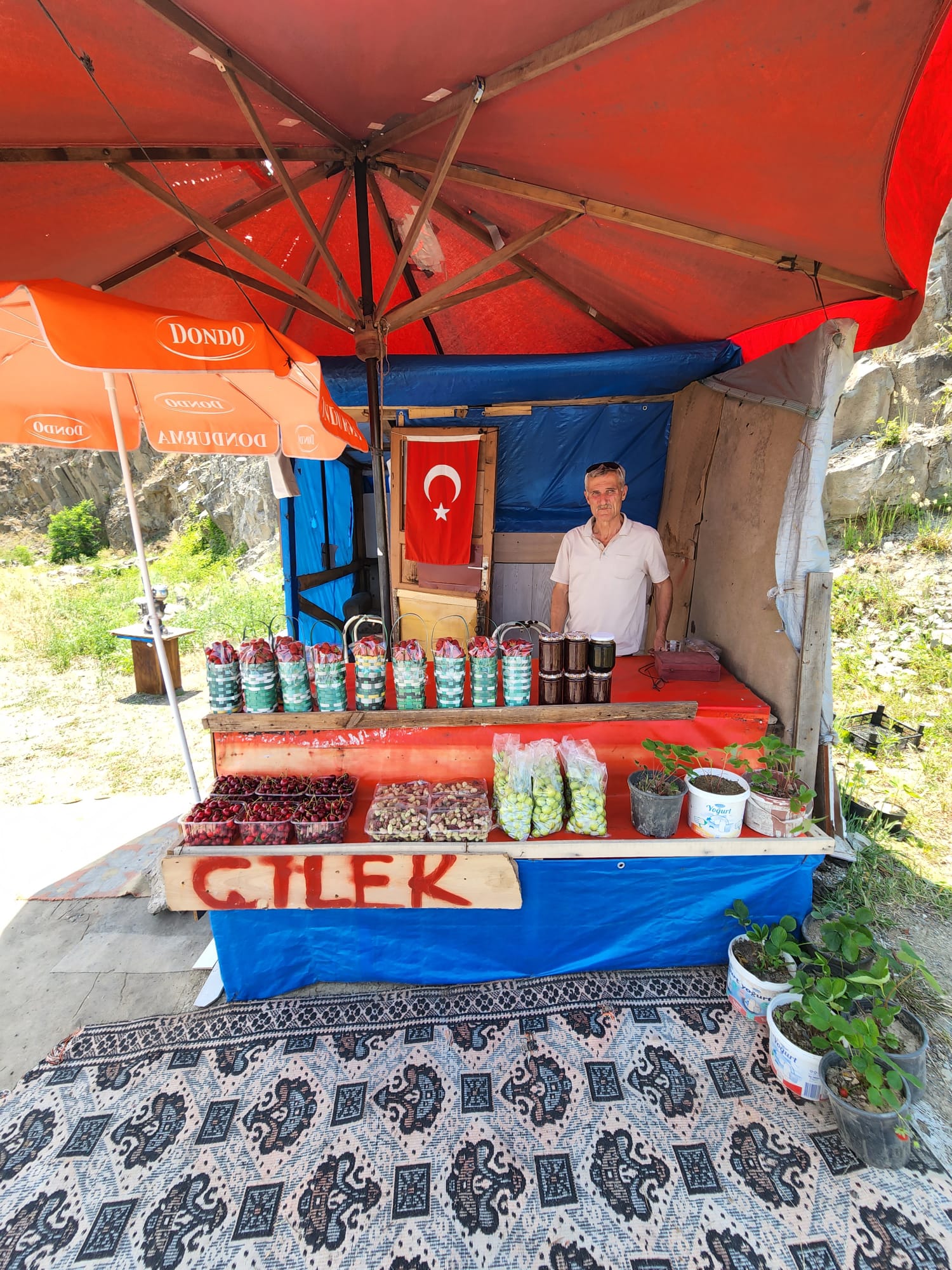 Osmanlı Çileği-2