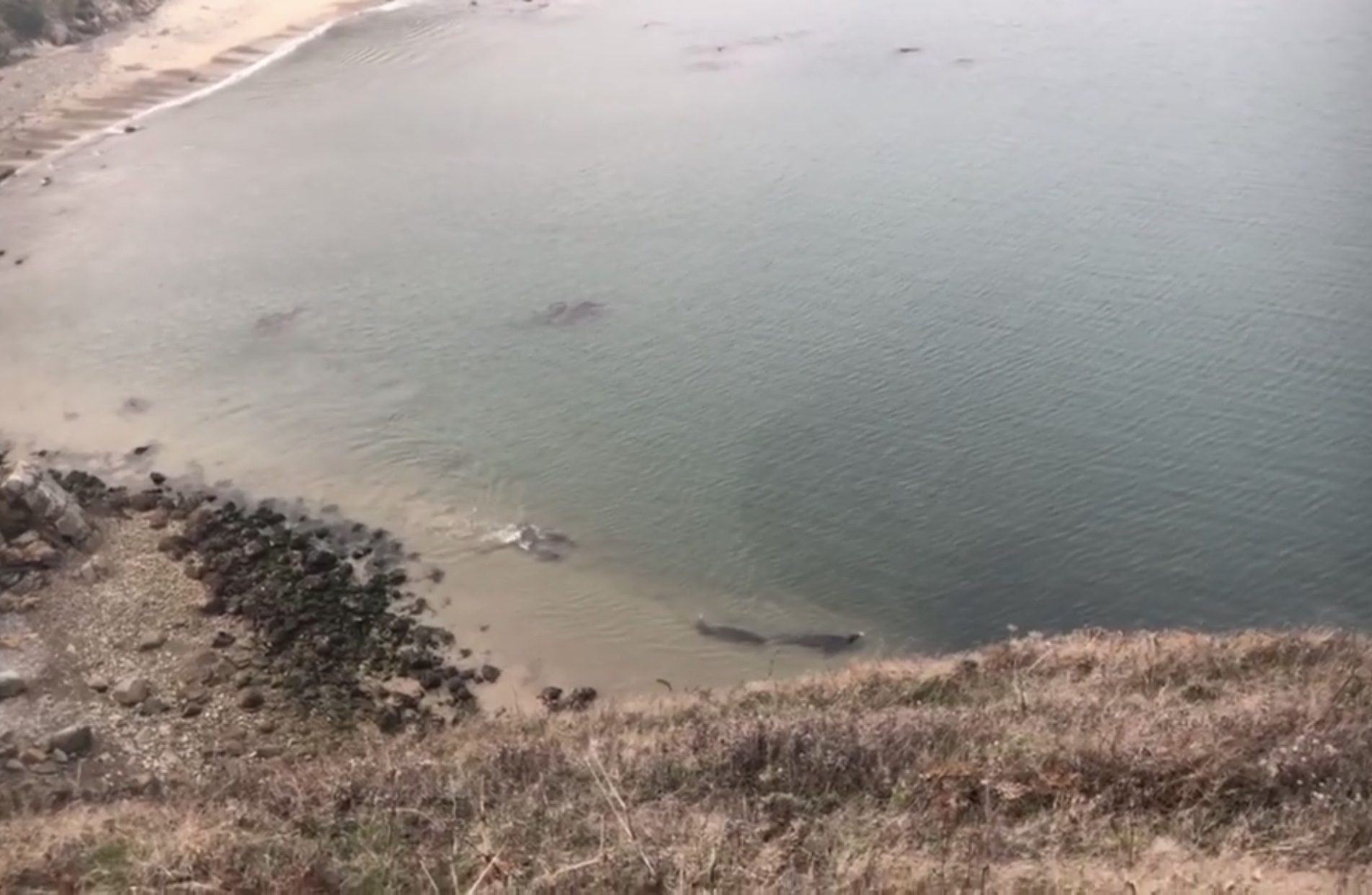 Coastal Line'dan okyanusa bakış