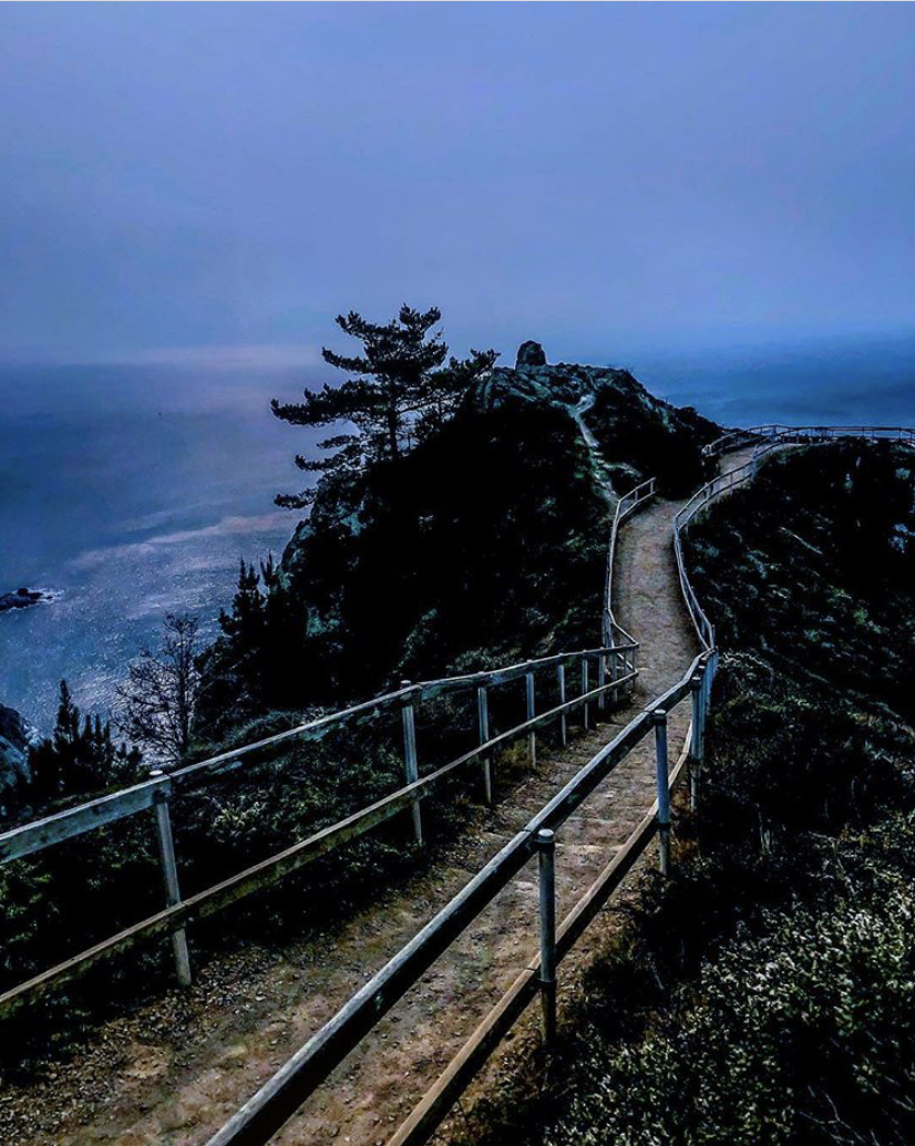 Point Reyes Coatal Line