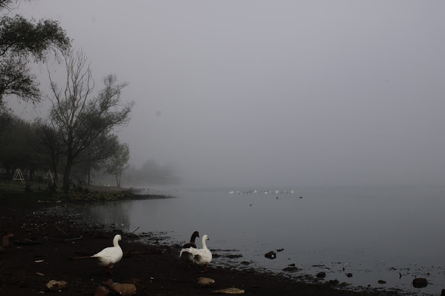 Sabah Saatlerinde Göl