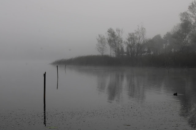 Poyrazlar Gölü Tabiat Parkı