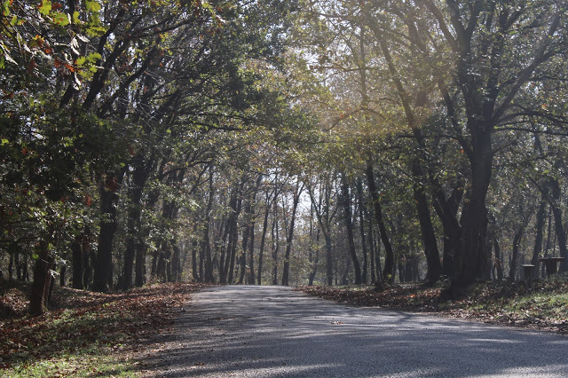 Poyrazlar Gölü Tabiat Parkı
