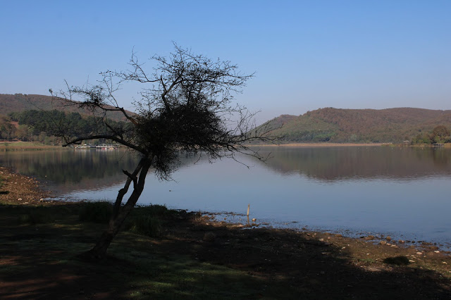Poyrazlar Gölü Tabiat Parkı