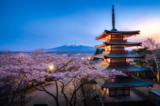 Japonya