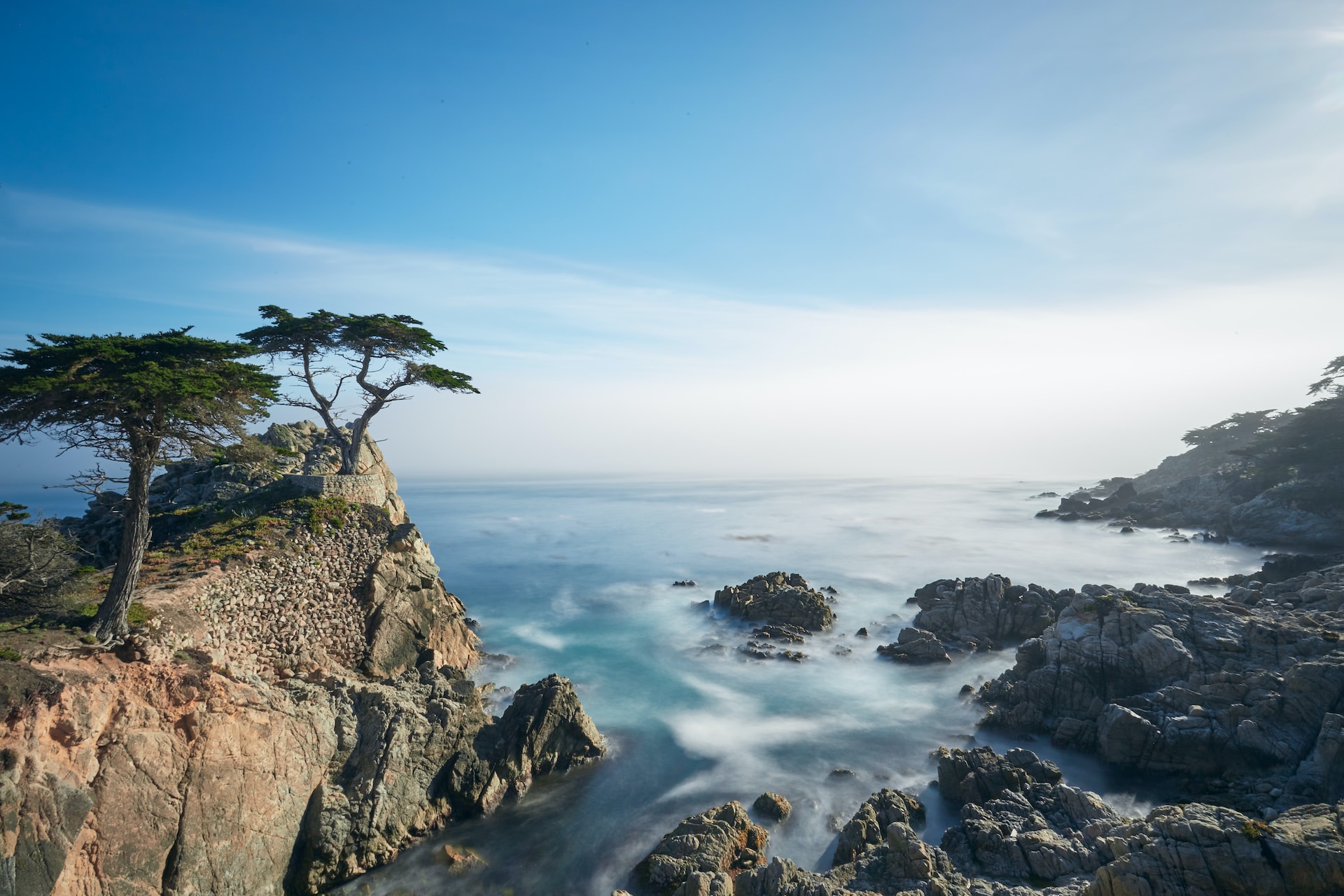 Lone Cypress