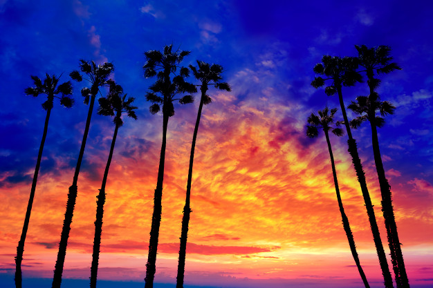 Los Angeles Otelleri
