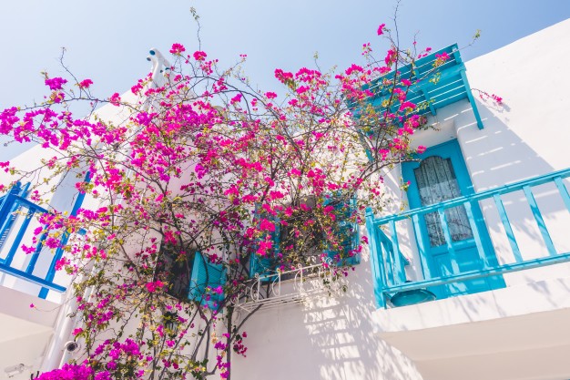 Mykonos hakkında diğer bilgiler