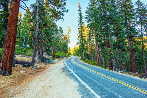 Nevada
