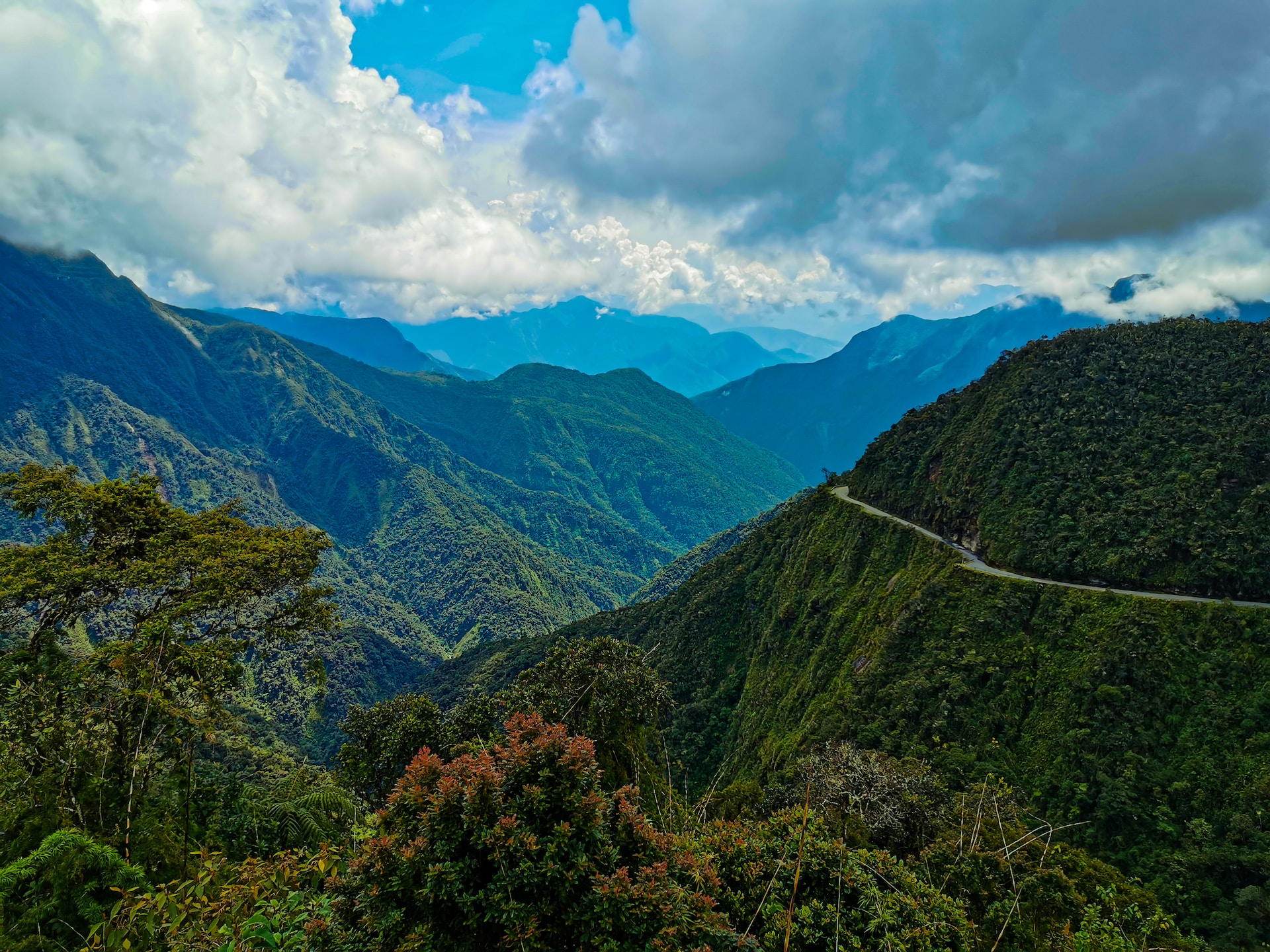 North Yungas2