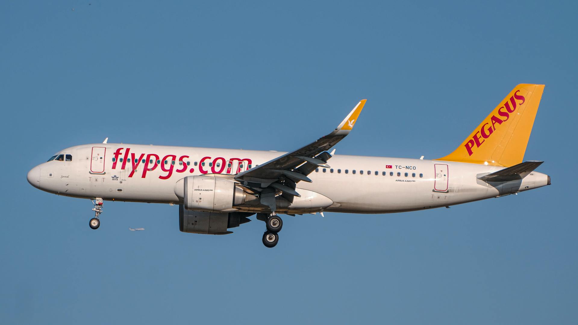 Pegasus