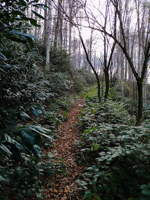 Darlaşmaya Başlayan Patika Yollar