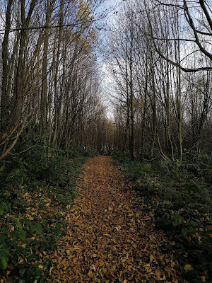 Kısmen Geniş Olan Patika Yollar