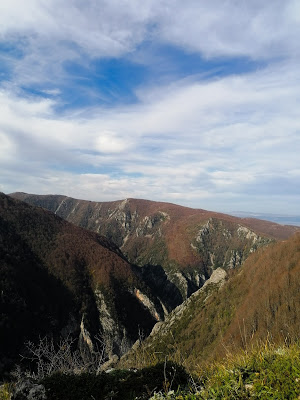 Rasimin Kaya Kuzey'e Bakış