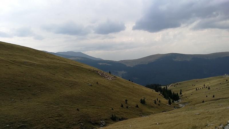 Transalpina