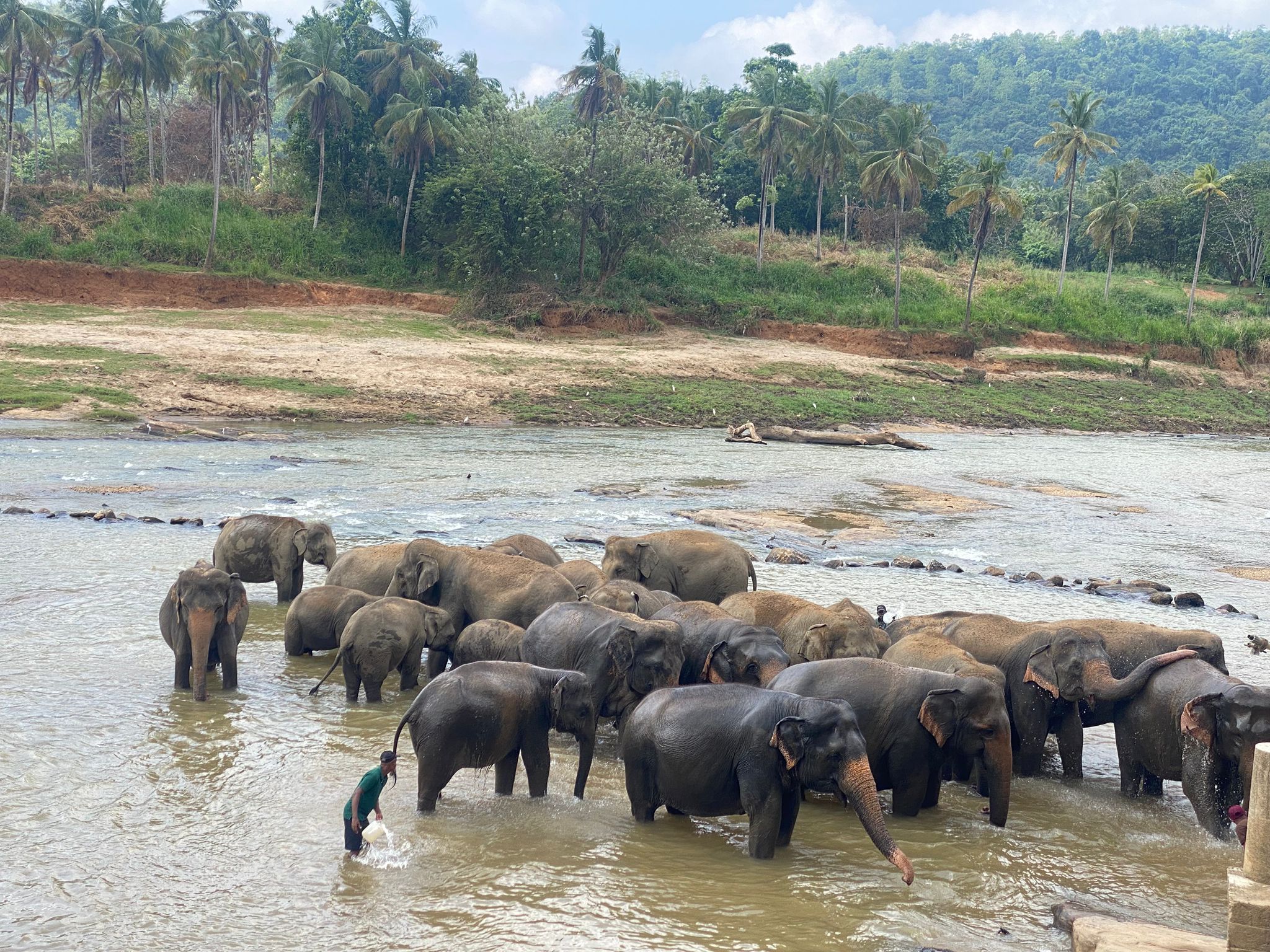 Wha14