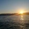 Seren Oksal Seren Oksal