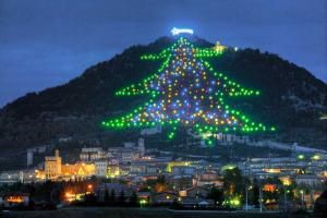 Guinness rekorlar kitabına da girmiş olan dünyanın en büyük Noel ağacı nerede yer alır?