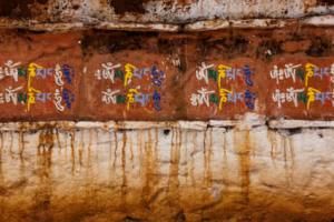 Resmi dili Dzongka olan ülke hangisidir?