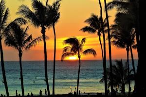 hawaii gezi rehberi gezimanya