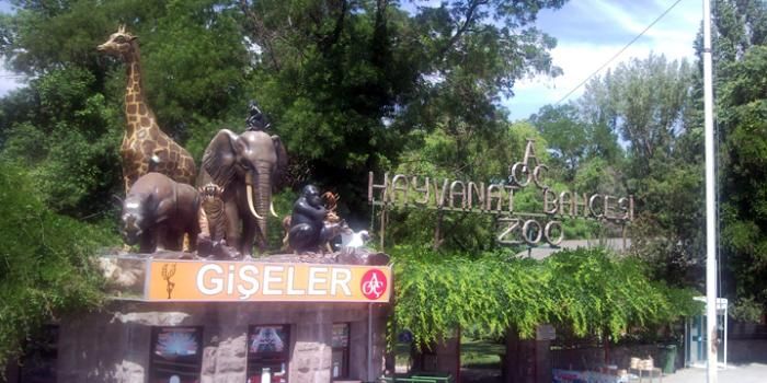 ankara_hayvanat_bahcesi11.jpg 
