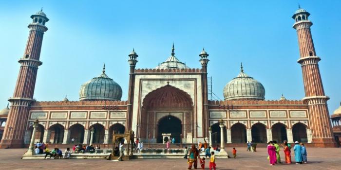 jama-masjid-mosque-in-new-delhi-india-738x355.jpg 