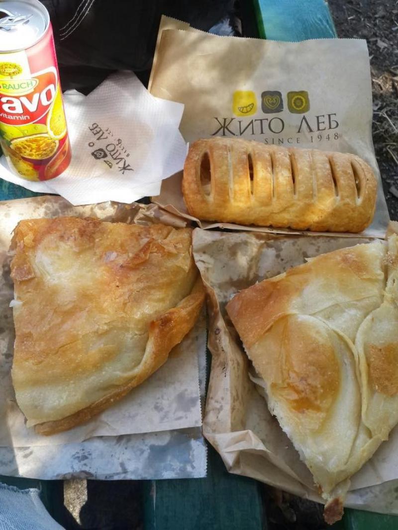 sıcak sıcak peynirli börekler