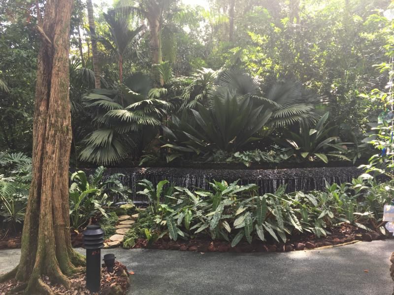 Singapur Botanik Bahçeleri