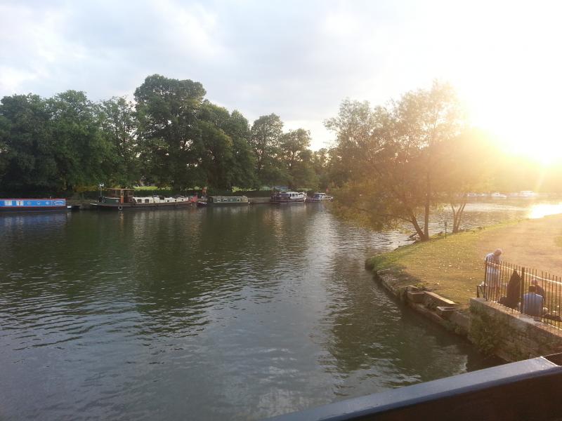 Christchurch Meadows