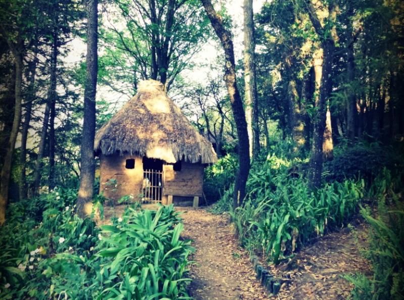 Müze Na Bolom'un bahçesi