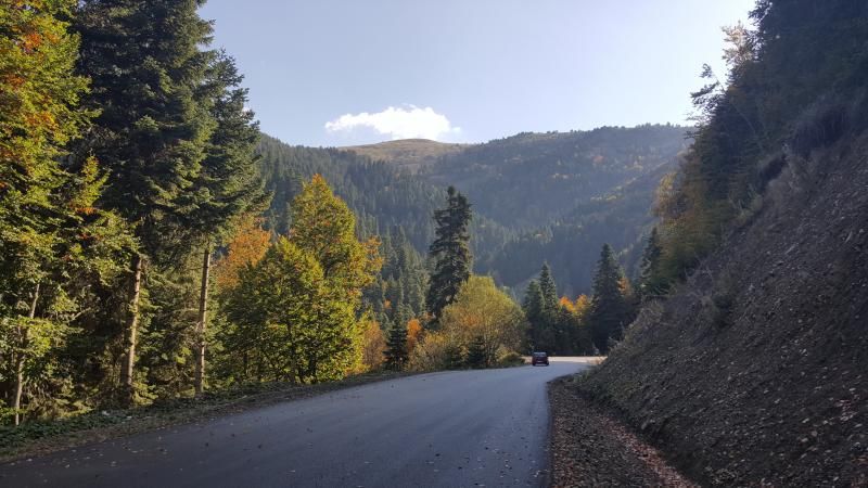 Yedigöller'e gidiş yolu biraz zahmetli ancak manzara mükemmel..