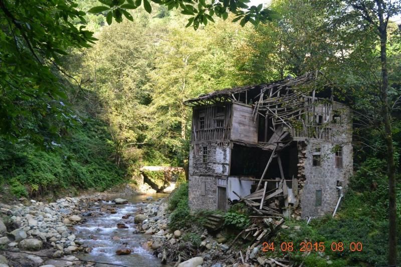 Rize Gezi Rehberi: Çayın Diyarı Rize Yollarında | Gezimanya