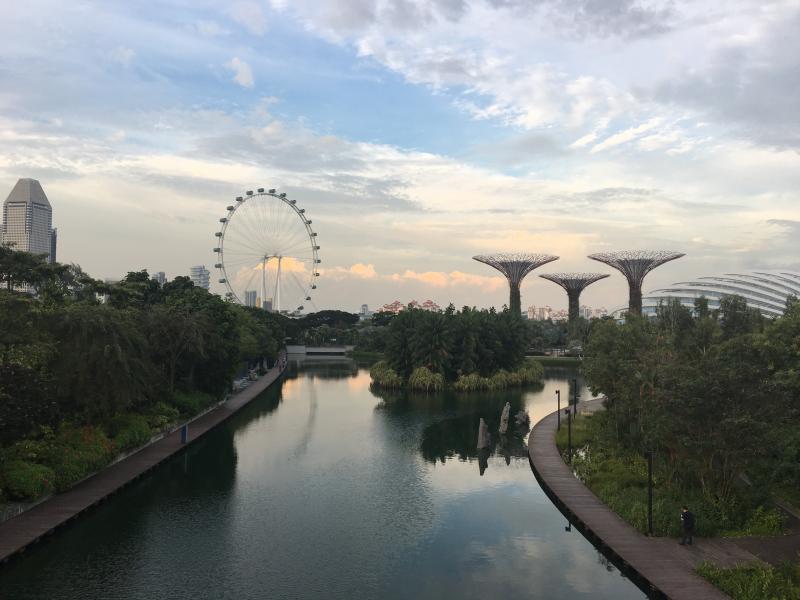 Gardens by the Bay