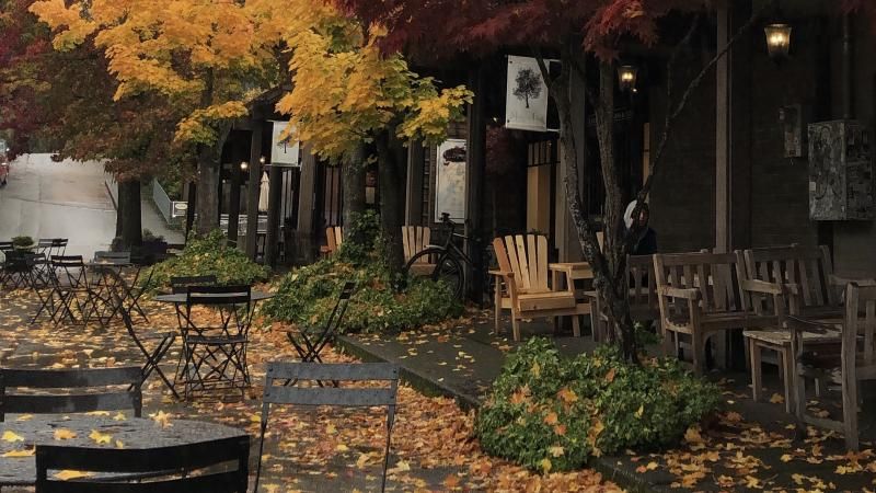 Bainbridge Adası kafelerinden biri