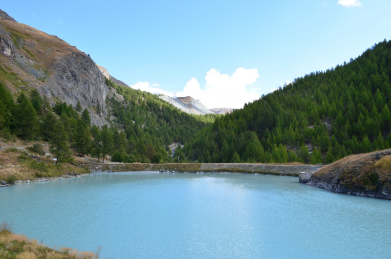 Moosjisee
