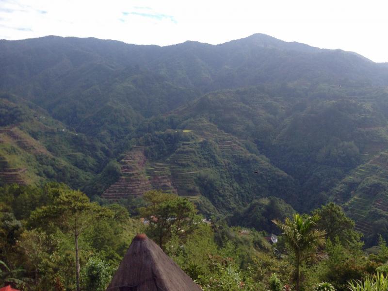 Banaue Pirinç Terasları (Ayrıca Evimizin Manzarası)