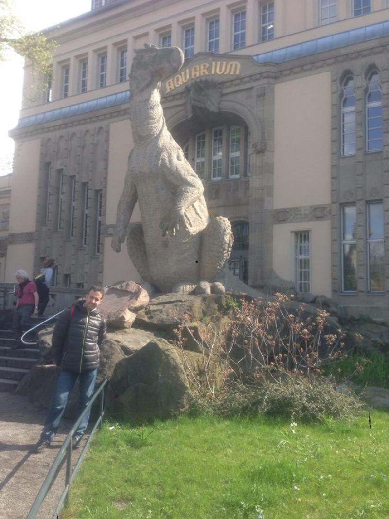 Berlin Hayvanat Bahçesi