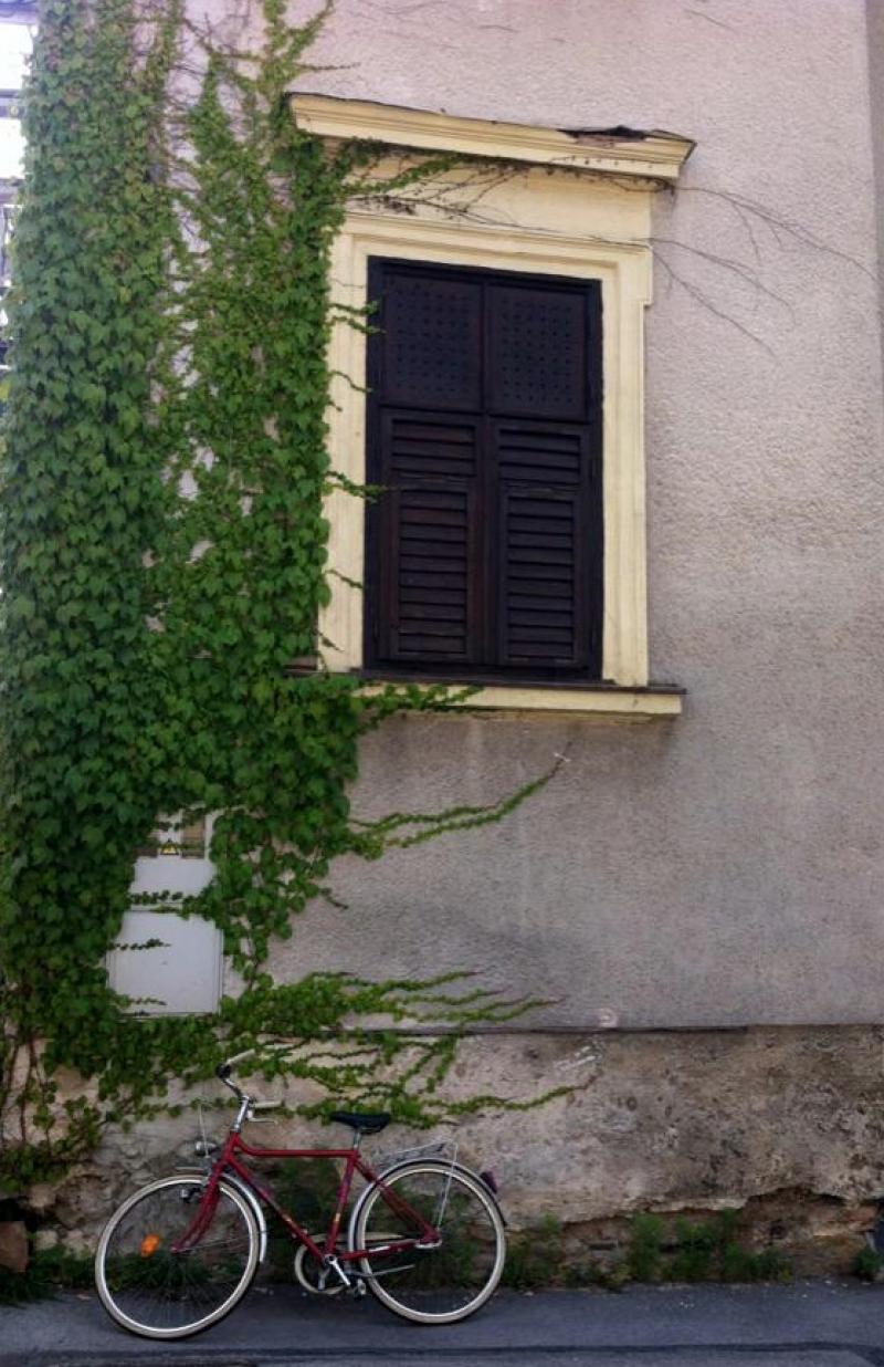 Ljubljana'da herkesin bisikleti var