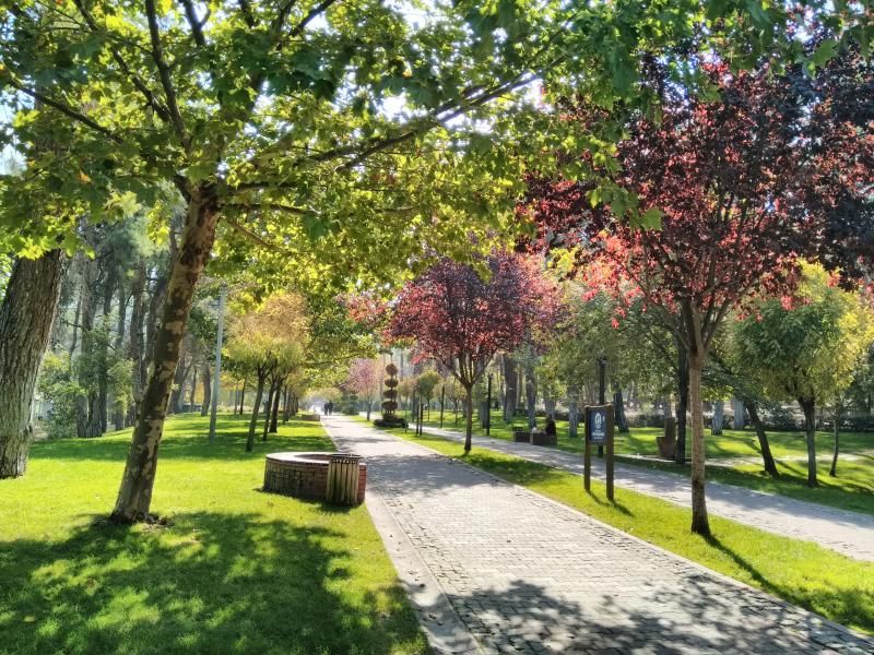 Çamlık Park