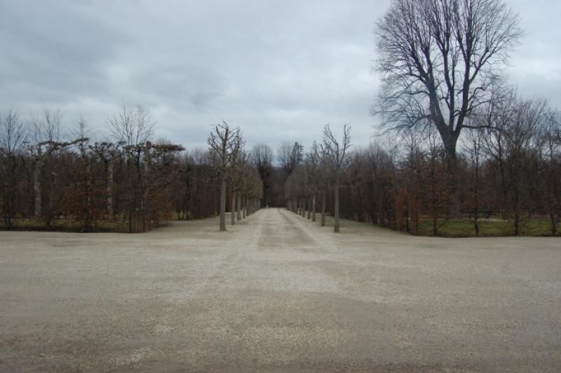 DSC_1091.JPG