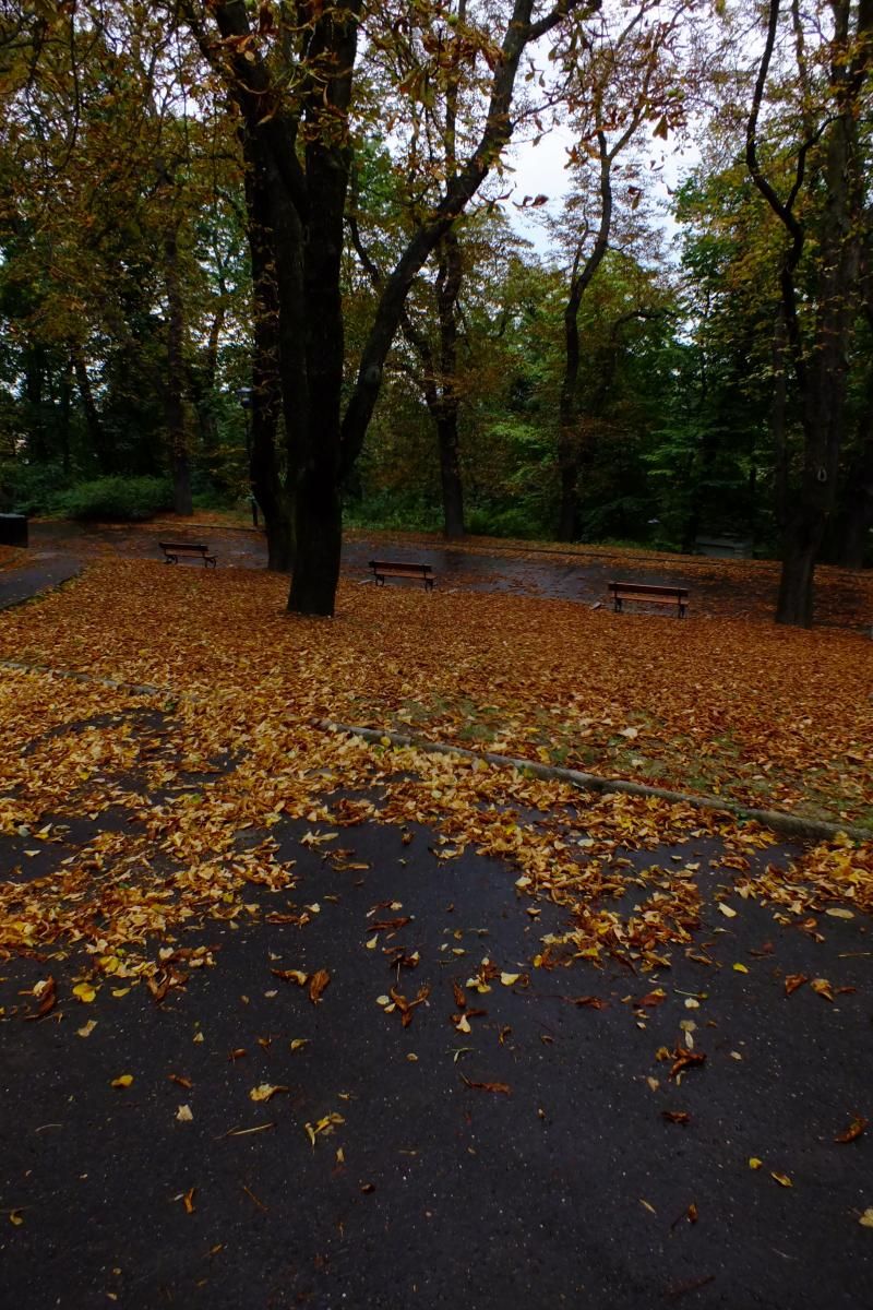 Petrin Tepesi, Prag'da sonbahar
