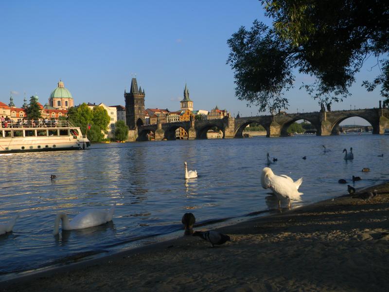 Charles Bridge